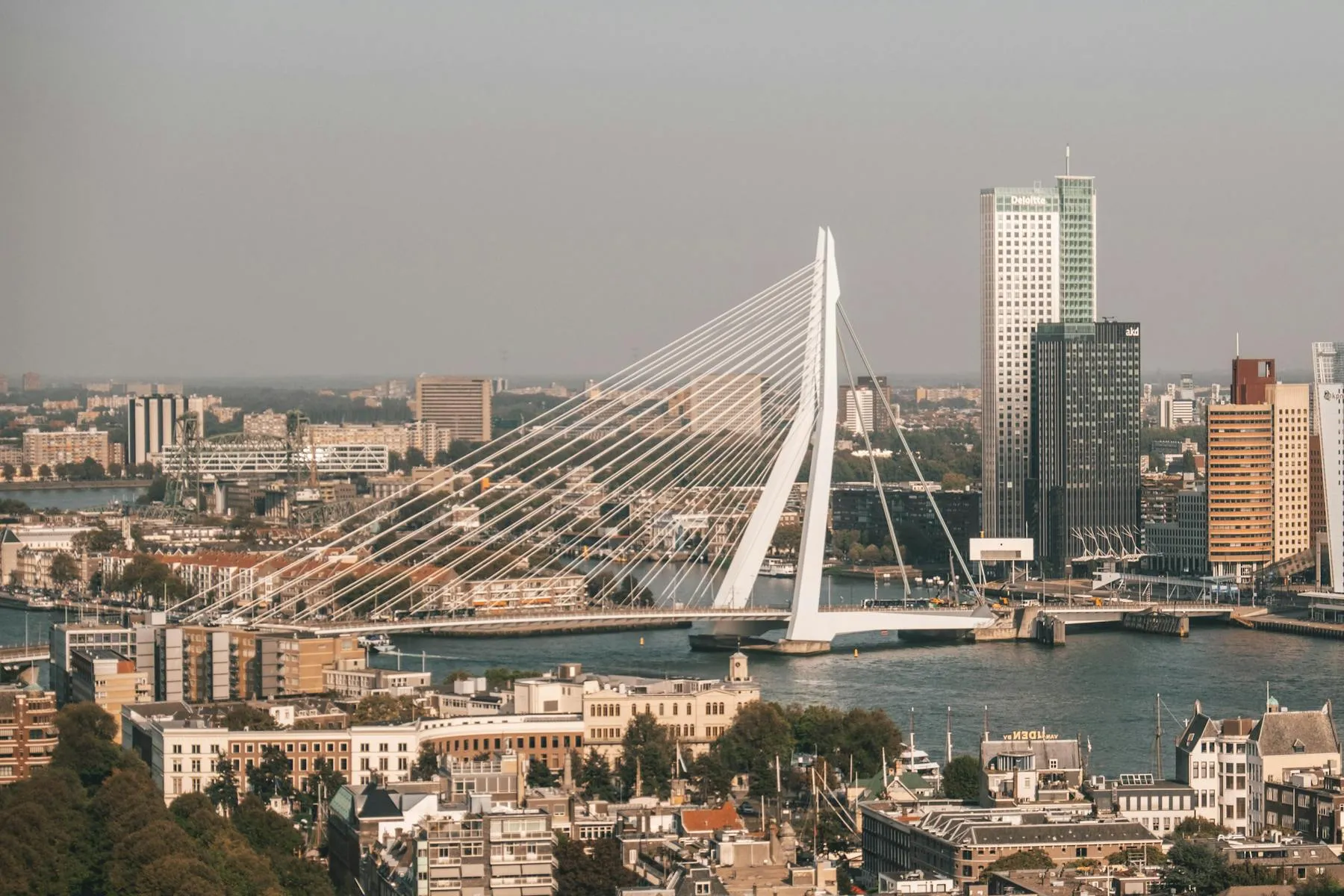 De Erasmusbrug en skyline van Rotterdam in het avondlicht
